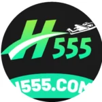H555 Game