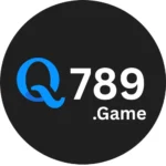 Q789 Game
