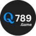Q789 Game