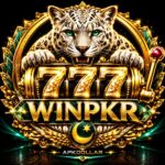WINPK777 APK